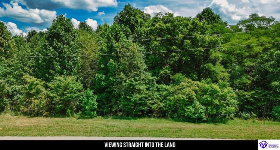 Plainview Road, Eastview, Kentucky 42732, ,For Sale,Plainview Road,HK24003302 Plainview Road, Eastview, Kentucky 42732, ,For Sale,Plainview Road,HK24003302