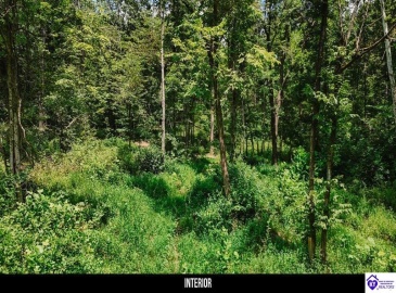 Plainview Road, Eastview, Kentucky 42732, ,For Sale,Plainview Road,HK24003302 Plainview Road, Eastview, Kentucky 42732, ,For Sale,Plainview Road,HK24003302