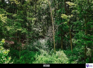 Plainview Road, Eastview, Kentucky 42732, ,For Sale,Plainview Road,HK24003302 Plainview Road, Eastview, Kentucky 42732, ,For Sale,Plainview Road,HK24003302