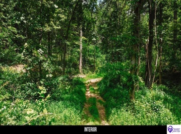 Plainview Road, Eastview, Kentucky 42732, ,For Sale,Plainview Road,HK24003302