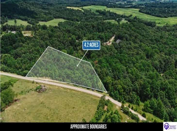 Plainview Road, Eastview, Kentucky 42732, ,For Sale,Plainview Road,HK24003302 Plainview Road, Eastview, Kentucky 42732, ,For Sale,Plainview Road,HK24003302