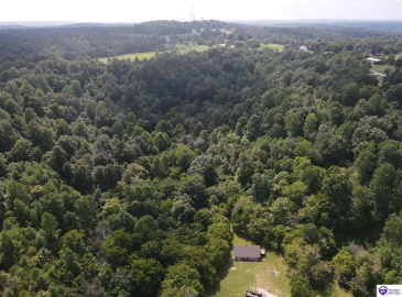 Wright Lane, Bonnieville, Kentucky 42748, ,1 BathroomBathrooms,For Sale,Wright Lane,HK24003310 Wright Lane, Bonnieville, Kentucky 42748, ,1 BathroomBathrooms,For Sale,Wright Lane,HK24003310