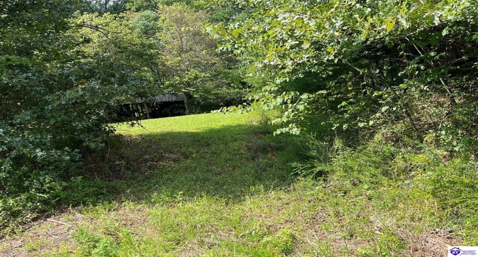 Wright Lane, Bonnieville, Kentucky 42748, ,1 BathroomBathrooms,For Sale,Wright Lane,HK24003310 Wright Lane, Bonnieville, Kentucky 42748, ,1 BathroomBathrooms,For Sale,Wright Lane,HK24003310