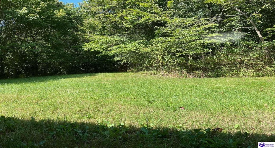 Wright Lane, Bonnieville, Kentucky 42748, ,1 BathroomBathrooms,For Sale,Wright Lane,HK24003310 Wright Lane, Bonnieville, Kentucky 42748, ,1 BathroomBathrooms,For Sale,Wright Lane,HK24003310