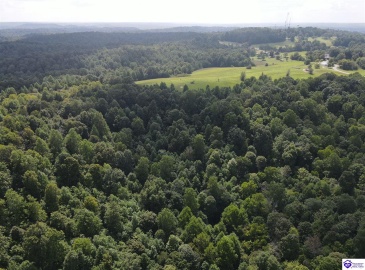 Wright Lane, Bonnieville, Kentucky 42748, ,1 BathroomBathrooms,For Sale,Wright Lane,HK24003310 Wright Lane, Bonnieville, Kentucky 42748, ,1 BathroomBathrooms,For Sale,Wright Lane,HK24003310