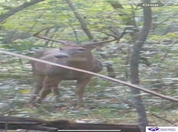 Wright Lane, Bonnieville, Kentucky 42748, ,1 BathroomBathrooms,For Sale,Wright Lane,HK24003310 Wright Lane, Bonnieville, Kentucky 42748, ,1 BathroomBathrooms,For Sale,Wright Lane,HK24003310