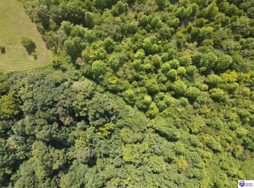 Wright Lane, Bonnieville, Kentucky 42748, ,1 BathroomBathrooms,For Sale,Wright Lane,HK24003310 Wright Lane, Bonnieville, Kentucky 42748, ,1 BathroomBathrooms,For Sale,Wright Lane,HK24003310