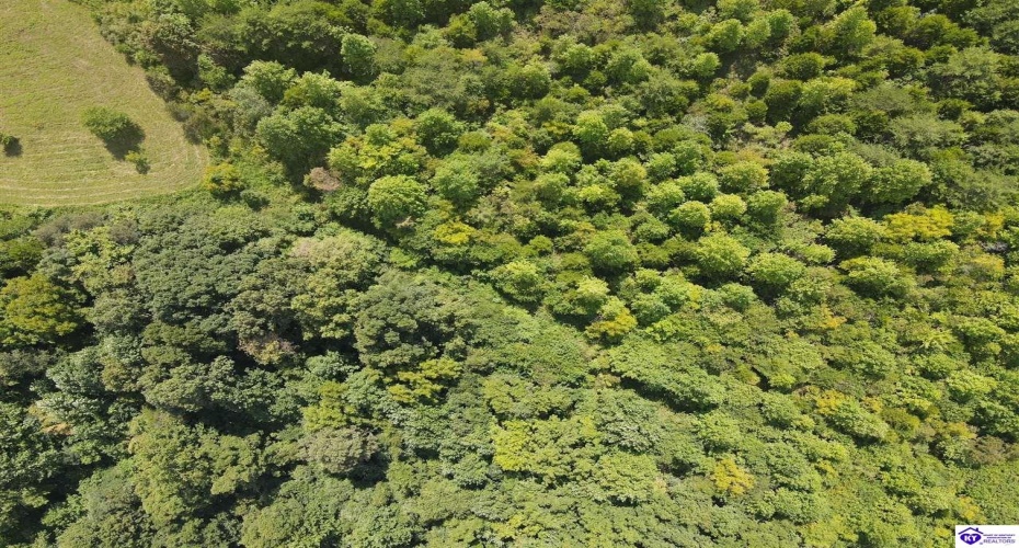 Wright Lane, Bonnieville, Kentucky 42748, ,1 BathroomBathrooms,For Sale,Wright Lane,HK24003310 Wright Lane, Bonnieville, Kentucky 42748, ,1 BathroomBathrooms,For Sale,Wright Lane,HK24003310