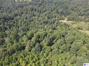 Wright Lane, Bonnieville, Kentucky 42748, ,1 BathroomBathrooms,For Sale,Wright Lane,HK24003310 Wright Lane, Bonnieville, Kentucky 42748, ,1 BathroomBathrooms,For Sale,Wright Lane,HK24003310