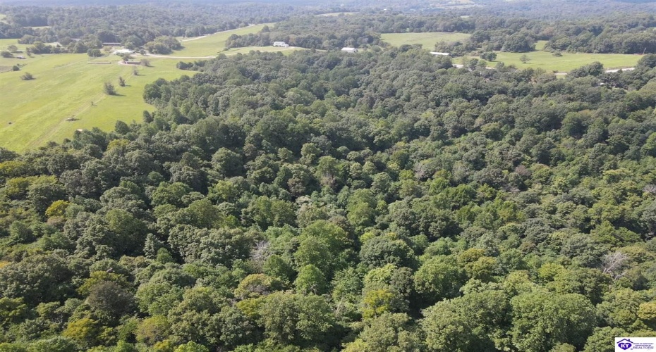 Wright Lane, Bonnieville, Kentucky 42748, ,1 BathroomBathrooms,For Sale,Wright Lane,HK24003310 Wright Lane, Bonnieville, Kentucky 42748, ,1 BathroomBathrooms,For Sale,Wright Lane,HK24003310