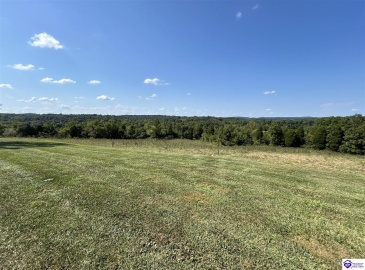 William Taul Lane, Hardinsburg, Kentucky 40143, ,For Sale,William Taul Lane,HK24003321 William Taul Lane, Hardinsburg, Kentucky 40143, ,For Sale,William Taul Lane,HK24003321