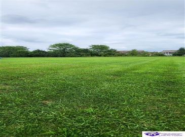 Haley Avenue, Shepherdsville, Kentucky 40165, ,2 BathroomsBathrooms,For Sale,Haley Avenue,HK24003163 Haley Avenue, Shepherdsville, Kentucky 40165, ,2 BathroomsBathrooms,For Sale,Haley Avenue,HK24003163