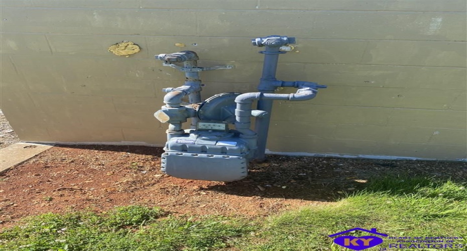 Crutcher Street, Vine Grove, Kentucky 40175, ,For Sale,Crutcher Street,HK10052582