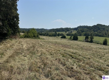 Milltown Road, Columbia, Kentucky 42728, ,For Sale,Milltown Road,HK24003323 Milltown Road, Columbia, Kentucky 42728, ,For Sale,Milltown Road,HK24003323