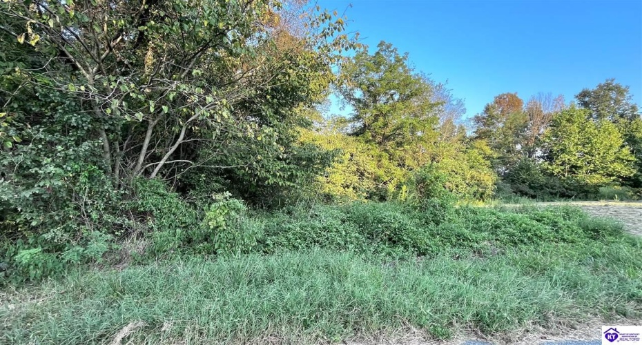 Butler Lane, Harned, Kentucky 40144, ,3 BathroomsBathrooms,For Sale,Butler Lane,HK24003322