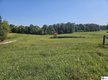 Center Point Road, Sonora, Kentucky 42776, ,For Sale,Center Point Road,HK24003331