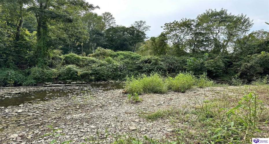 E Poe Young Road, Campbellsville, Kentucky 42718, ,For Sale,E Poe Young Road,HK24003372