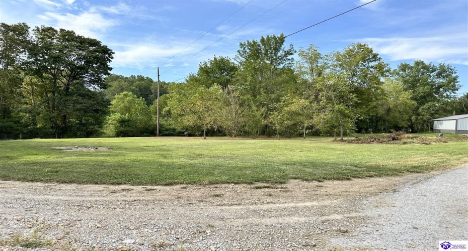 E Poe Young Road, Campbellsville, Kentucky 42718, ,For Sale,E Poe Young Road,HK24003372
