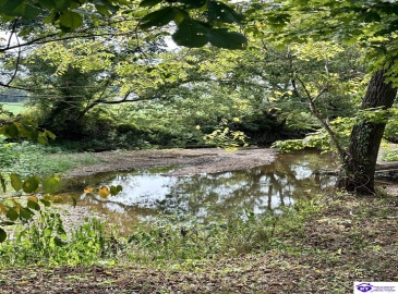 E Poe Young Road, Campbellsville, Kentucky 42718, ,For Sale,E Poe Young Road,HK24003372 E Poe Young Road, Campbellsville, Kentucky 42718, ,For Sale,E Poe Young Road,HK24003372