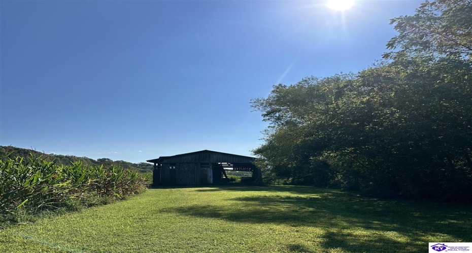 E Poe Young Road, Campbellsville, Kentucky 42718, ,For Sale,E Poe Young Road,HK24003372