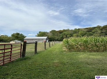 E Poe Young Road, Campbellsville, Kentucky 42718, ,For Sale,E Poe Young Road,HK24003372 E Poe Young Road, Campbellsville, Kentucky 42718, ,For Sale,E Poe Young Road,HK24003372