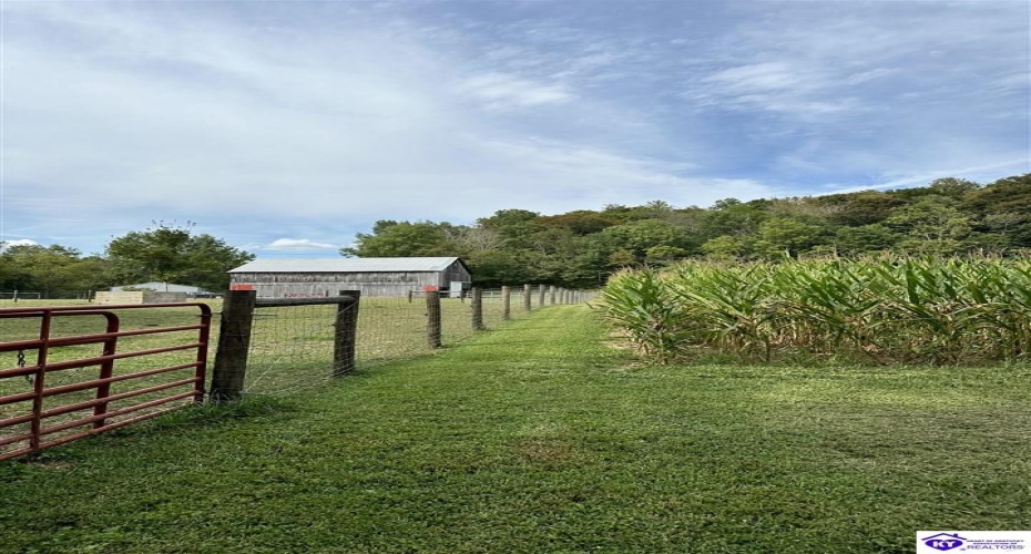 E Poe Young Road, Campbellsville, Kentucky 42718, ,For Sale,E Poe Young Road,HK24003372