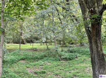 E Poe Young Road, Campbellsville, Kentucky 42718, ,For Sale,E Poe Young Road,HK24003372 E Poe Young Road, Campbellsville, Kentucky 42718, ,For Sale,E Poe Young Road,HK24003372