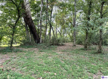 E Poe Young Road, Campbellsville, Kentucky 42718, ,For Sale,E Poe Young Road,HK24003372 E Poe Young Road, Campbellsville, Kentucky 42718, ,For Sale,E Poe Young Road,HK24003372