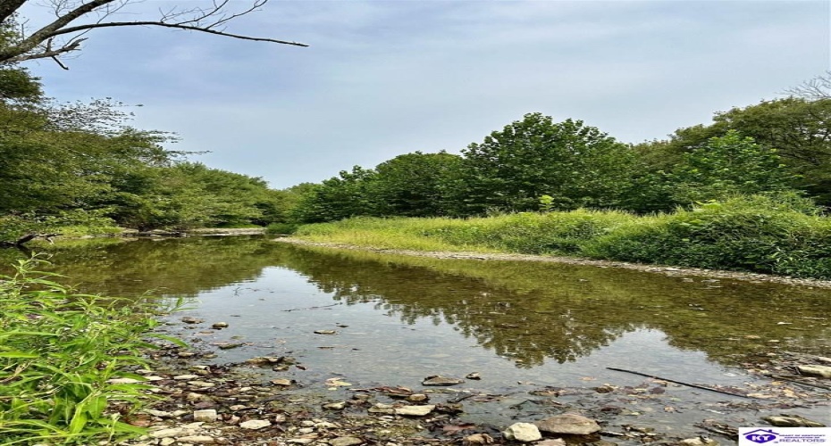 E Poe Young Road, Campbellsville, Kentucky 42718, ,For Sale,E Poe Young Road,HK24003372