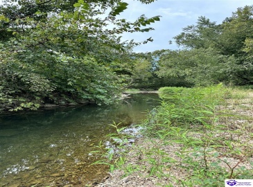 E Poe Young Road, Campbellsville, Kentucky 42718, ,For Sale,E Poe Young Road,HK24003372 E Poe Young Road, Campbellsville, Kentucky 42718, ,For Sale,E Poe Young Road,HK24003372