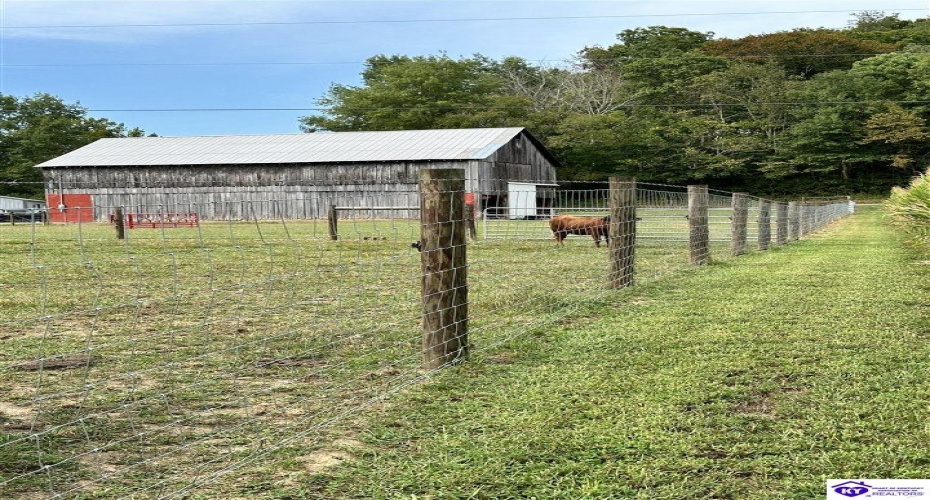 E Poe Young Road, Campbellsville, Kentucky 42718, ,For Sale,E Poe Young Road,HK24003372