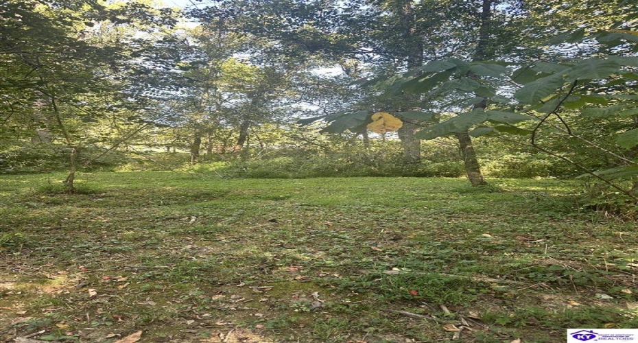 E Poe Young Road, Campbellsville, Kentucky 42718, ,For Sale,E Poe Young Road,HK24003372