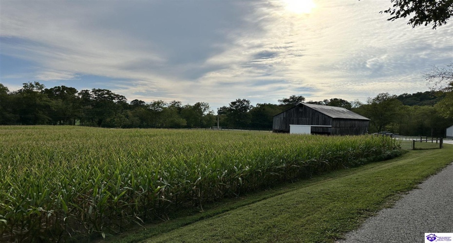 E Poe Young Road, Campbellsville, Kentucky 42718, ,For Sale,E Poe Young Road,HK24003372