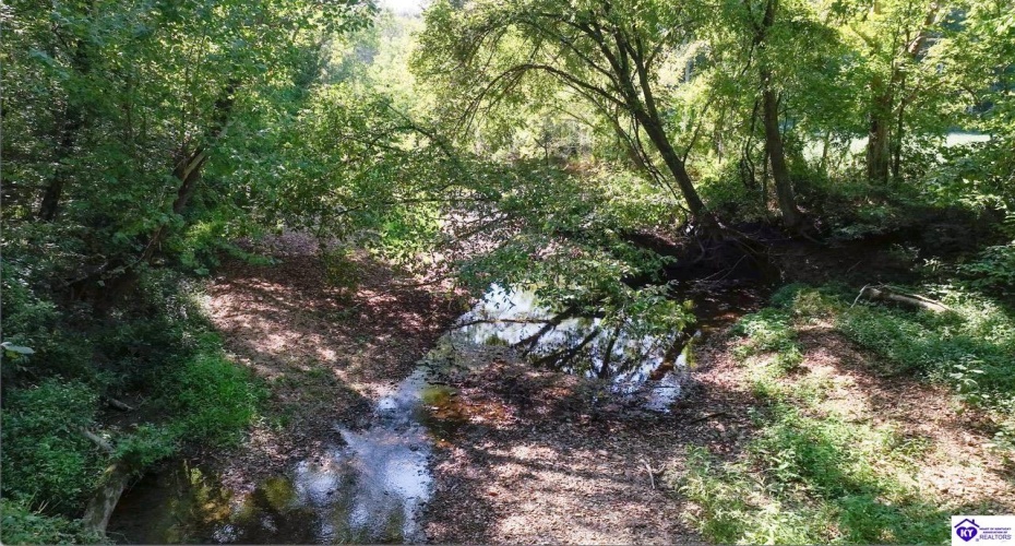 E Poe Young Road, Campbellsville, Kentucky 42718, ,For Sale,E Poe Young Road,HK24003372