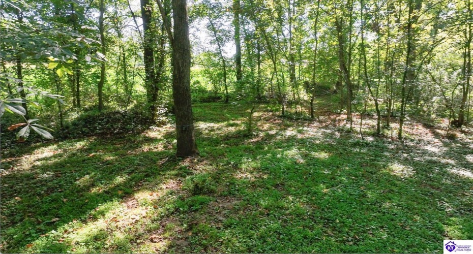 E Poe Young Road, Campbellsville, Kentucky 42718, ,For Sale,E Poe Young Road,HK24003372