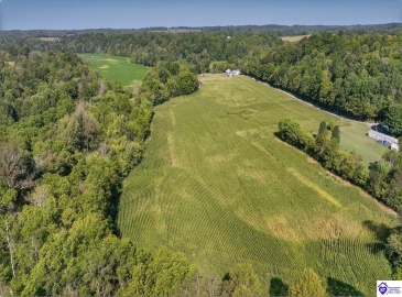 E Poe Young Road, Campbellsville, Kentucky 42718, ,For Sale,E Poe Young Road,HK24003372 E Poe Young Road, Campbellsville, Kentucky 42718, ,For Sale,E Poe Young Road,HK24003372