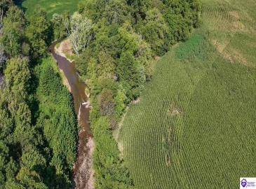 E Poe Young Road, Campbellsville, Kentucky 42718, ,For Sale,E Poe Young Road,HK24003372 E Poe Young Road, Campbellsville, Kentucky 42718, ,For Sale,E Poe Young Road,HK24003372