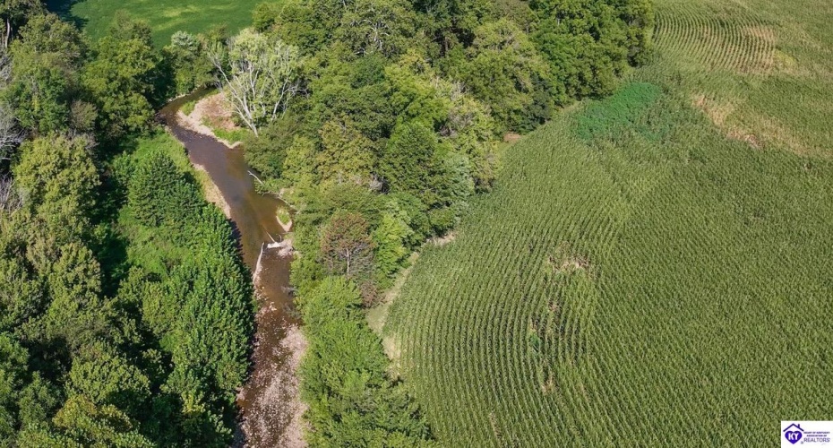 E Poe Young Road, Campbellsville, Kentucky 42718, ,For Sale,E Poe Young Road,HK24003372