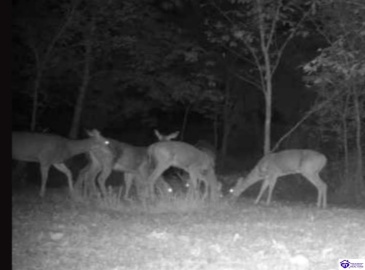 E Poe Young Road, Campbellsville, Kentucky 42718, ,For Sale,E Poe Young Road,HK24003372 E Poe Young Road, Campbellsville, Kentucky 42718, ,For Sale,E Poe Young Road,HK24003372