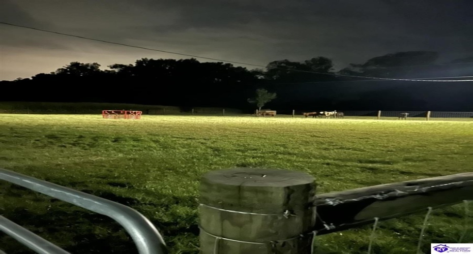 E Poe Young Road, Campbellsville, Kentucky 42718, ,For Sale,E Poe Young Road,HK24003372