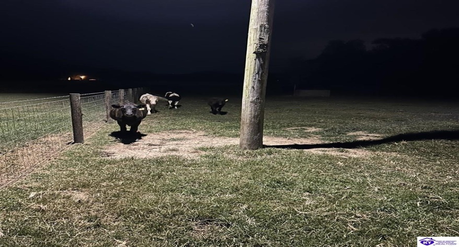 E Poe Young Road, Campbellsville, Kentucky 42718, ,For Sale,E Poe Young Road,HK24003372