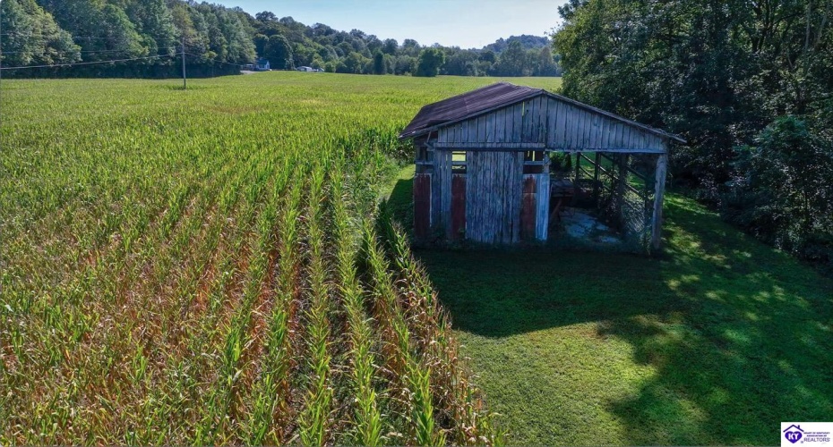 E Poe Young Road, Campbellsville, Kentucky 42718, ,For Sale,E Poe Young Road,HK24003372