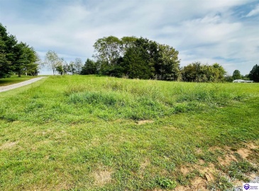 Fallen Timber Road, Campbellsville, Kentucky 42718, ,3 BathroomsBathrooms,For Sale,Fallen Timber Road,HK24003370 Fallen Timber Road, Campbellsville, Kentucky 42718, ,3 BathroomsBathrooms,For Sale,Fallen Timber Road,HK24003370