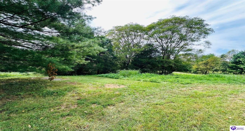 Fallen Timber Road, Campbellsville, Kentucky 42718, ,3 BathroomsBathrooms,For Sale,Fallen Timber Road,HK24003370