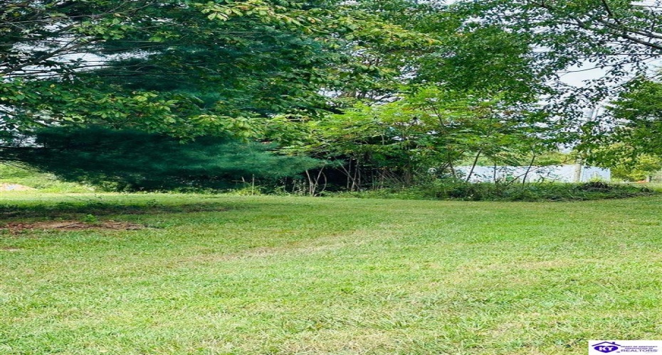 Fallen Timber Road, Campbellsville, Kentucky 42718, ,3 BathroomsBathrooms,For Sale,Fallen Timber Road,HK24003370