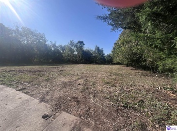 Church Street, Horse Cave, Kentucky 42749, ,For Sale,Church Street,HK24003374 Church Street, Horse Cave, Kentucky 42749, ,For Sale,Church Street,HK24003374