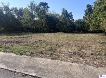 Church Street, Horse Cave, Kentucky 42749, ,For Sale,Church Street,HK24003374