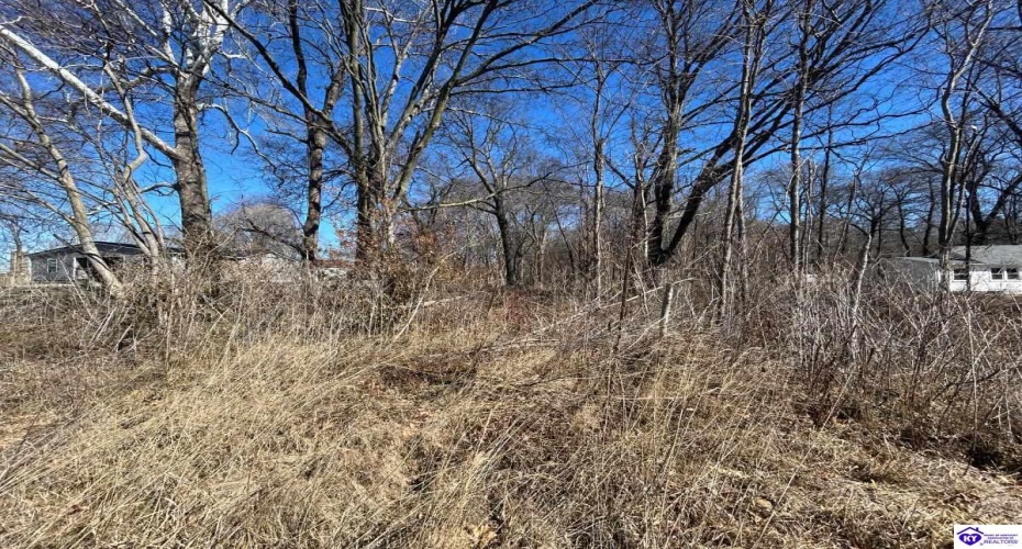 Brandenburg Road, Ekron, Kentucky 40117, ,For Sale,Brandenburg Road,HK24000674