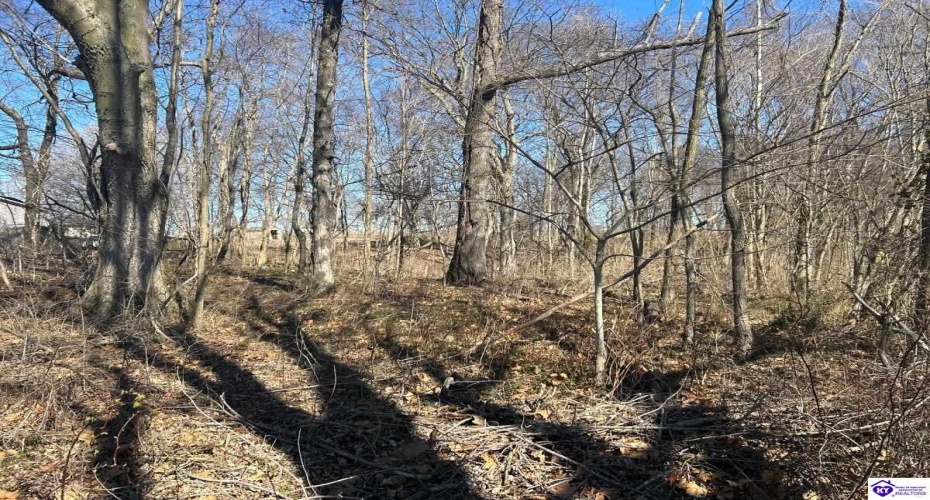 Brandenburg Road, Ekron, Kentucky 40117, ,For Sale,Brandenburg Road,HK24000674