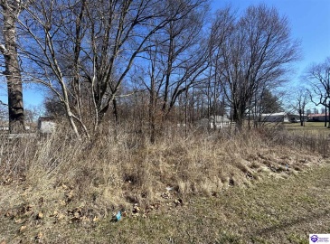 Brandenburg Road, Ekron, Kentucky 40117, ,For Sale,Brandenburg Road,HK24000674 Brandenburg Road, Ekron, Kentucky 40117, ,For Sale,Brandenburg Road,HK24000674